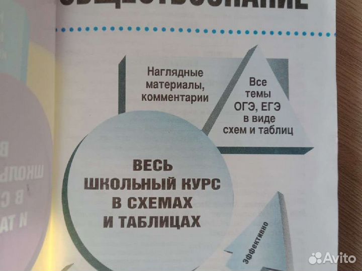 Обществознание в схемах и таблицах (сборник)