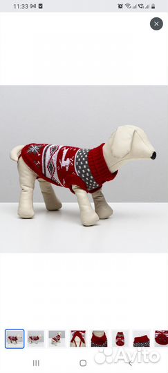 Одежда для собак