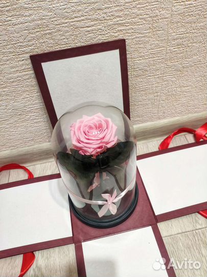 Розы в колбе в наличии в Челнах