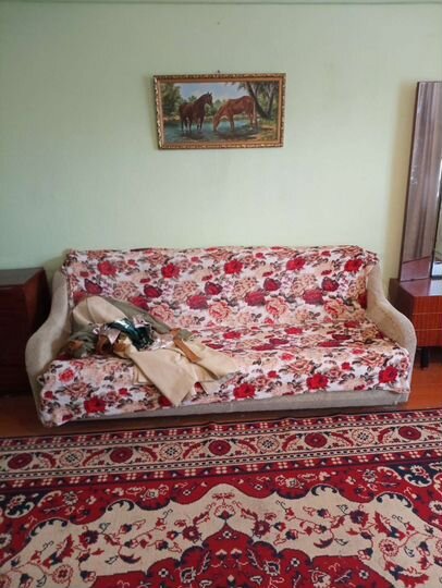 2-к. квартира, 44 м², 1/2 эт.