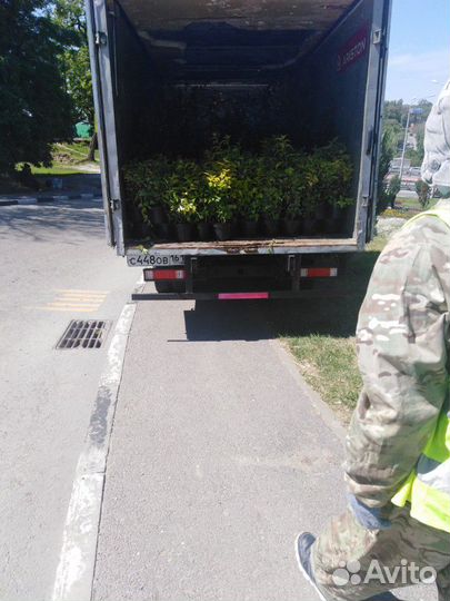 Грузоперевозки Переезды Газель Перевозка