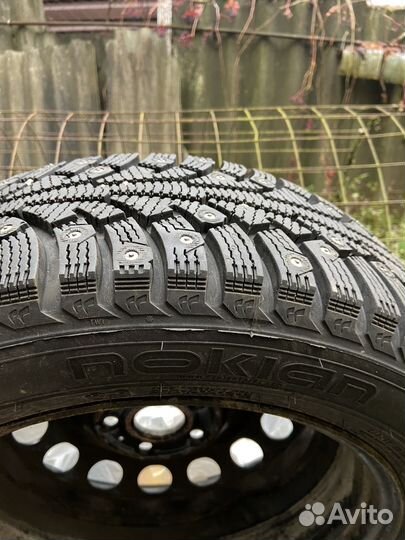 Колёса Nokian Nordman 5 зима 205 55 R16 VW Golf