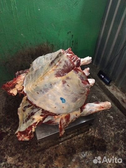 Свинина и говядина домашняя всё своё хозяйство