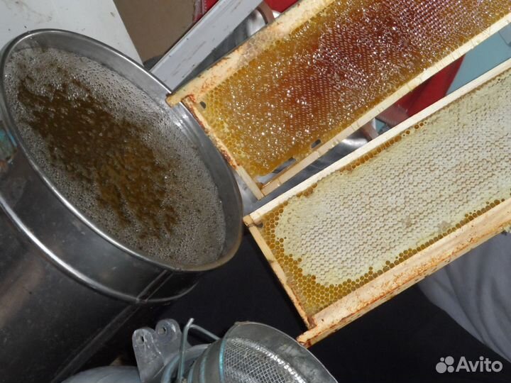 Башкирский эко-мёд