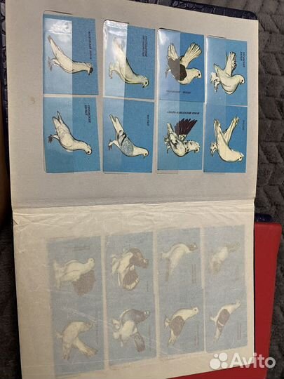 Коллеционная этикетка