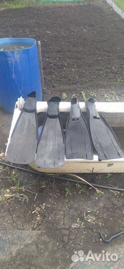 Ласты для подводной охоты