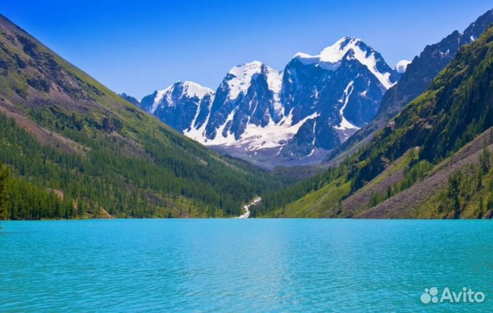 Тур поездка в авторский тур на Алтай на 7 д