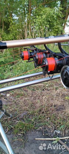 Карповый комплект из 4