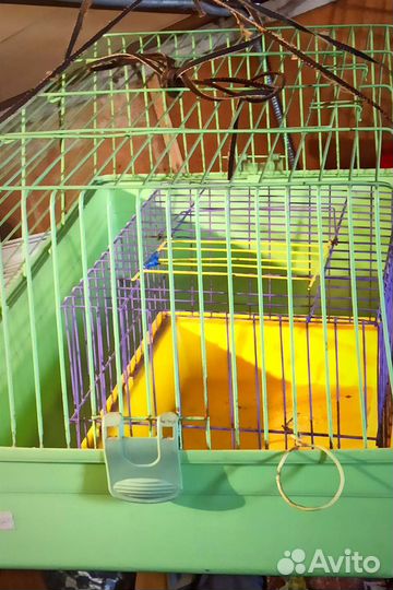 Большая клетка для мор. свинок, кролика, шиншиллы