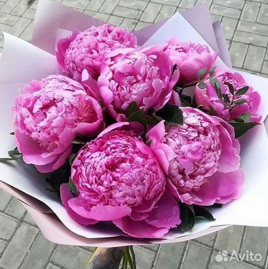 Пионы Розы Доставка