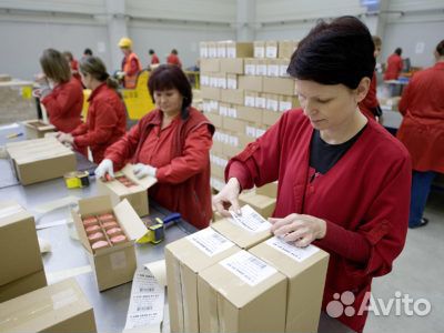 Упаковщик на складе, оплата ежедневно/еженедельно