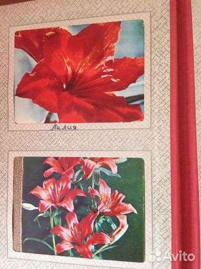 Советские открытки