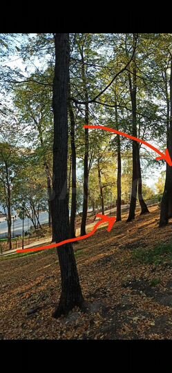 Участок 7 сот. (СНТ, ДНП)