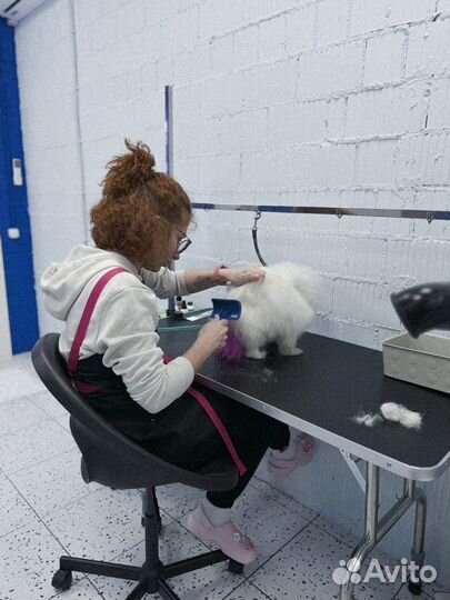 Модель на груминг