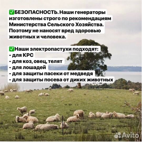 Электропастух с завода для овец