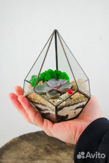 Флорариум с суккулентами