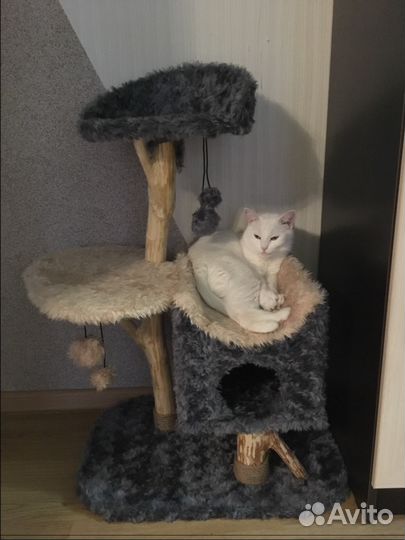 Домик лежанка для кошки