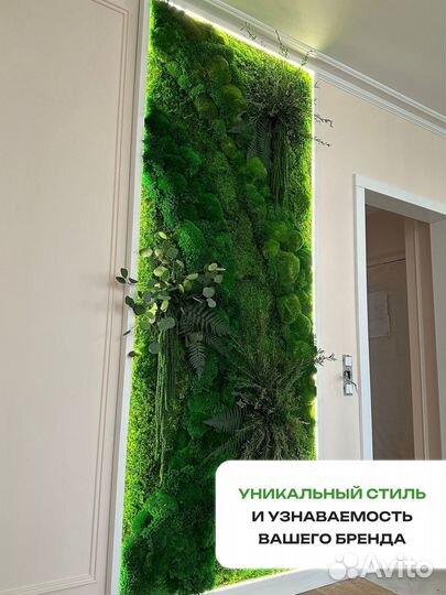 Озеленение интерьера Мох