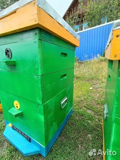 Улей дадан 12