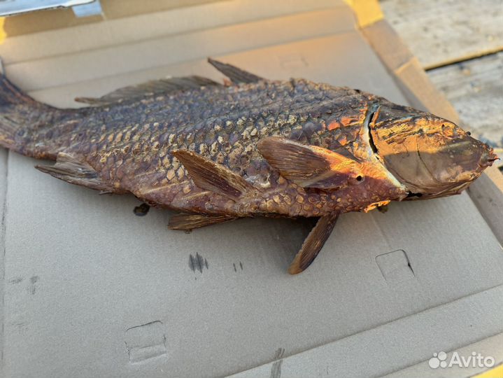 Рыба горячего копчения,а так же cвeжeзaмopoжeнная