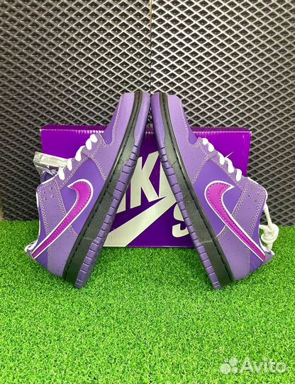 Кроссовки Nike SB Dunk Low Purple Lobster