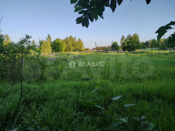 Дом 56 м² на участке 38 сот.