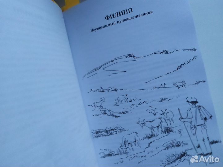 Хозяйка книжной лавки на площади Грав Эрик Кормель