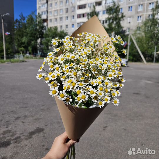 Букет комплимент из ромашек
