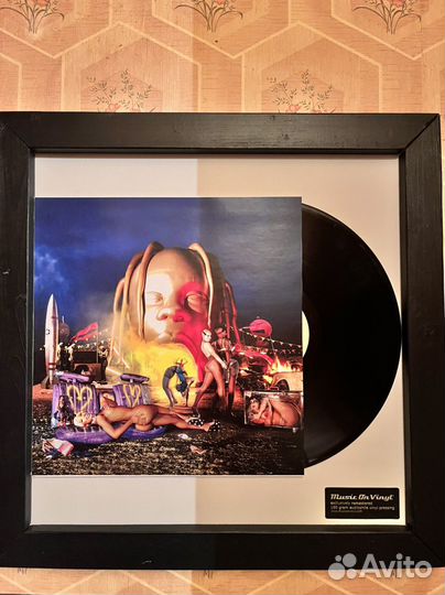 Картина винил в рамке