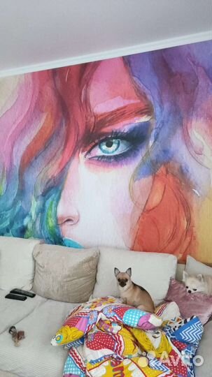 Ремонт в домах, квартирах, не жилых помещениях