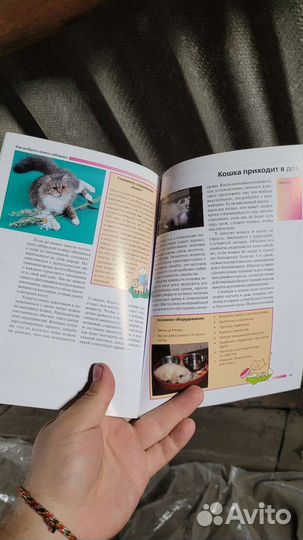 Сибирская кошка Федорова