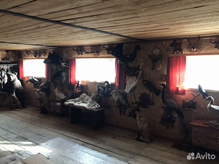 Коллекция Чучел