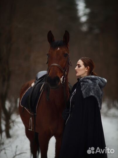 Косплей костюм Сансы Старк Игра престолов