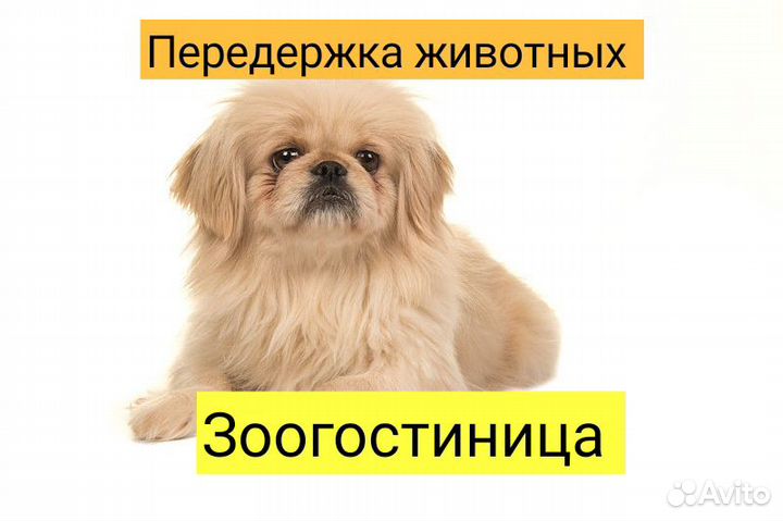 Ждём в гости