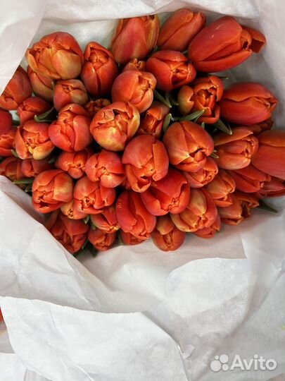 Тюльпаны к 8 марта розница