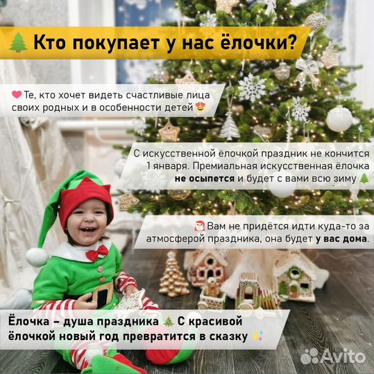 Ель Сибирская