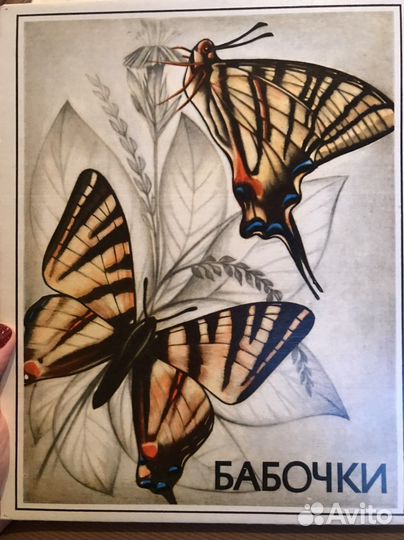 Спички коллекционные СССР, Бабочки