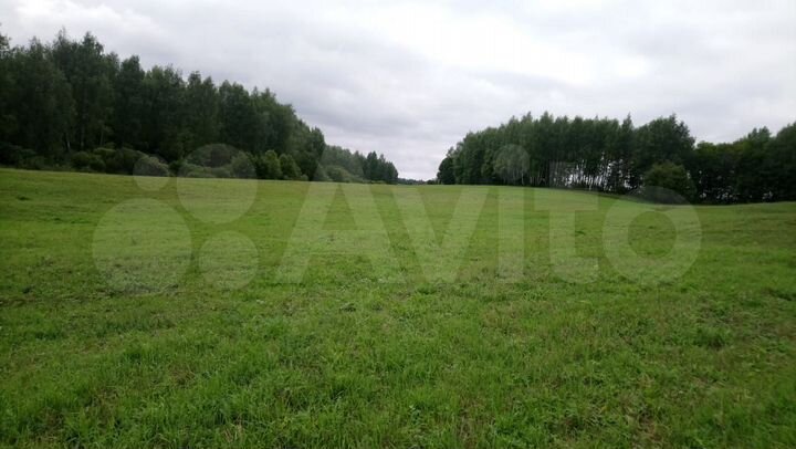 Участок 12,5 га (СНТ, ДНП)