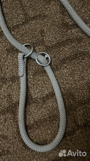 Собачья ринговка для дрессуры или выставок