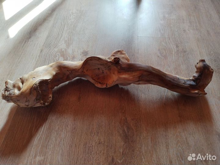 Коряга в аквариум