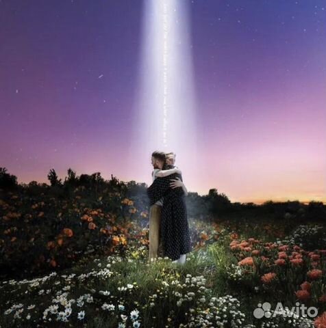 Виниловая пластинка Honne