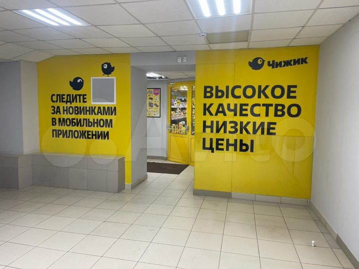 Торговая площадь, 482 м²