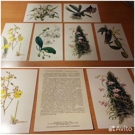 Открытки, наборы о комнатных растениях