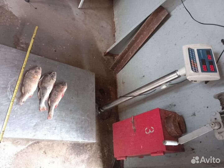 Продукты оптом