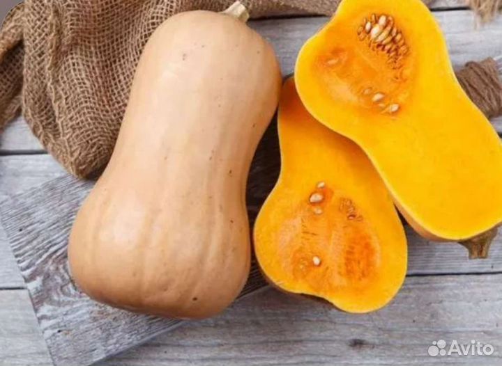 Тыква Матильда