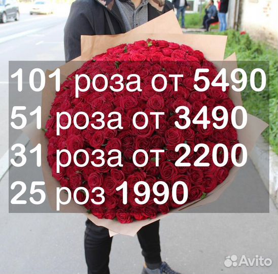 101 роза 31 51 роза Цветы