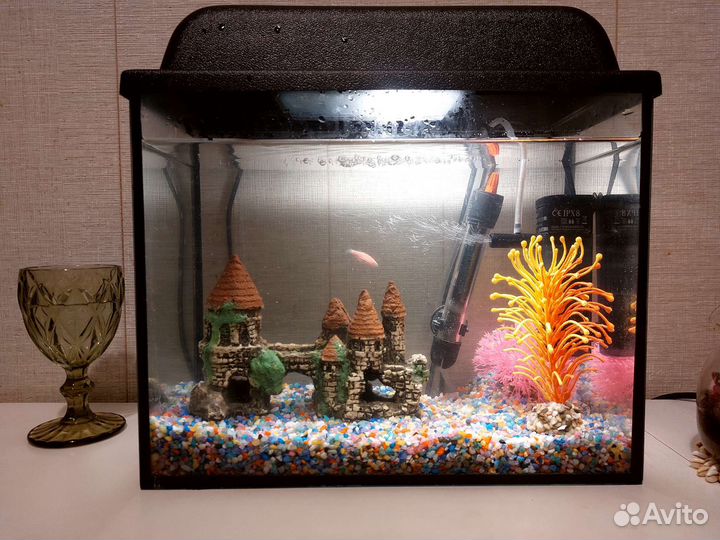 Аквариум