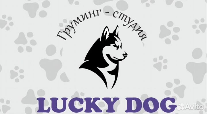 Груминг-студия Lucky Dog