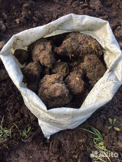 Навоз коровий в мешках