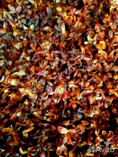 Варенье. Калган